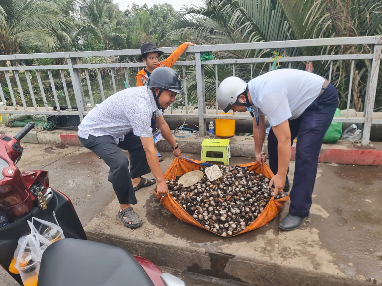 Lấn chiếm - Ảnh 2.