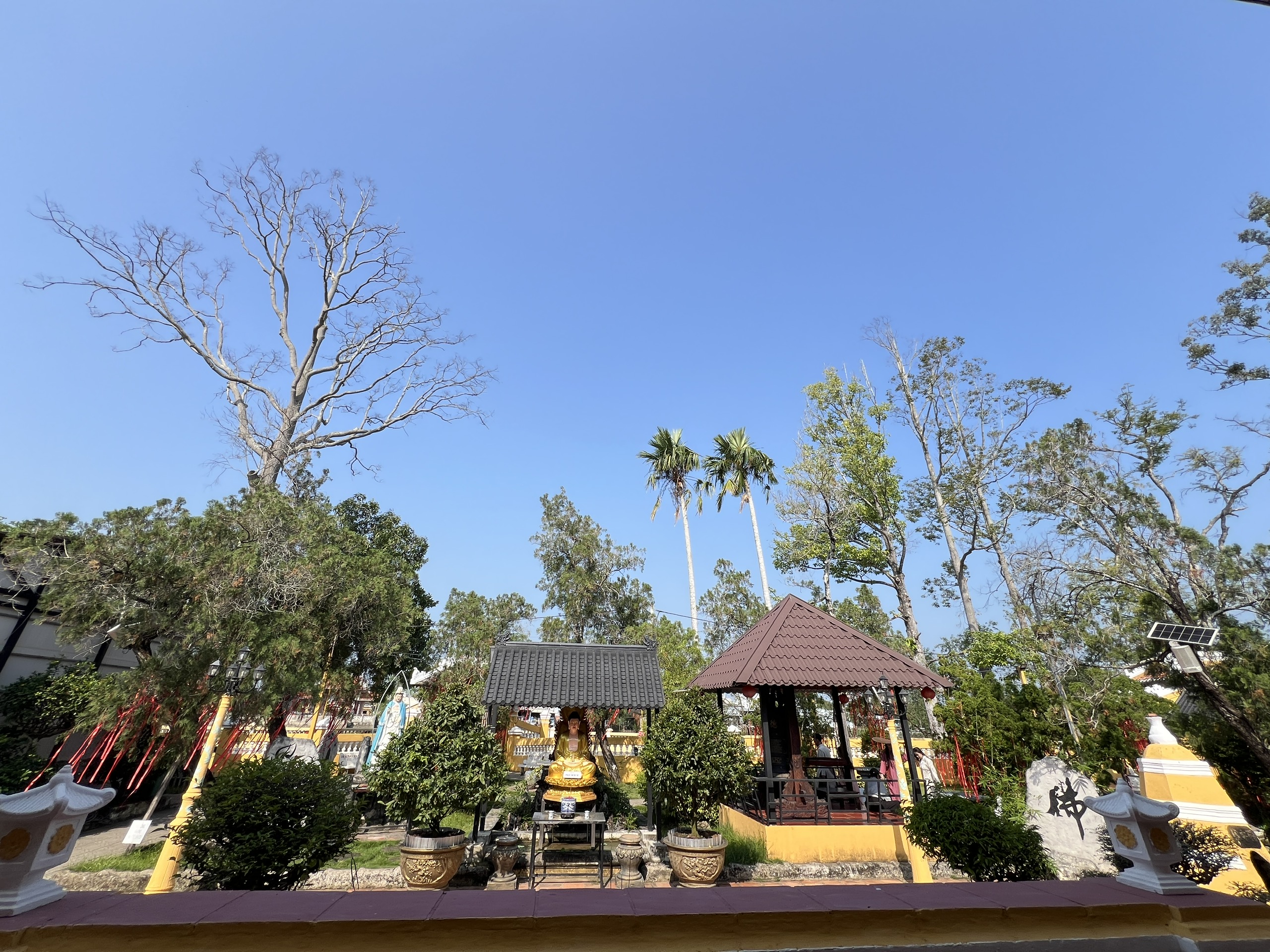 VIDEO: Chi&ecirc;m ngưỡng ng&ocirc;i ch&ugrave;a hơn 130 năm tuổi, l&agrave; "địa chỉ đỏ" ở Cần Thơ - Ảnh 1.