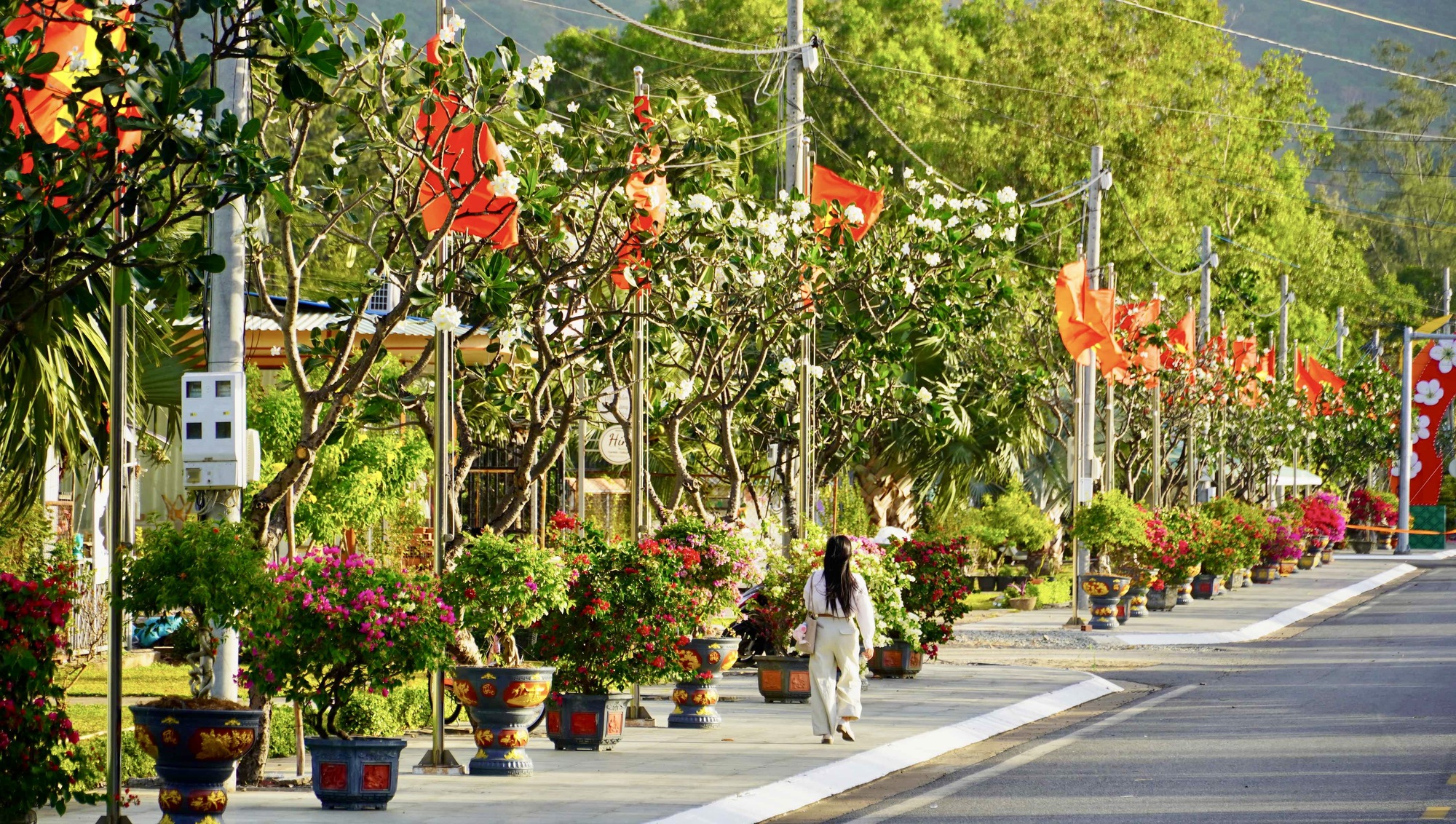 Dưới "Đường cờ Tổ quốc - Đường hoa Côn Đảo". - Ảnh 8.