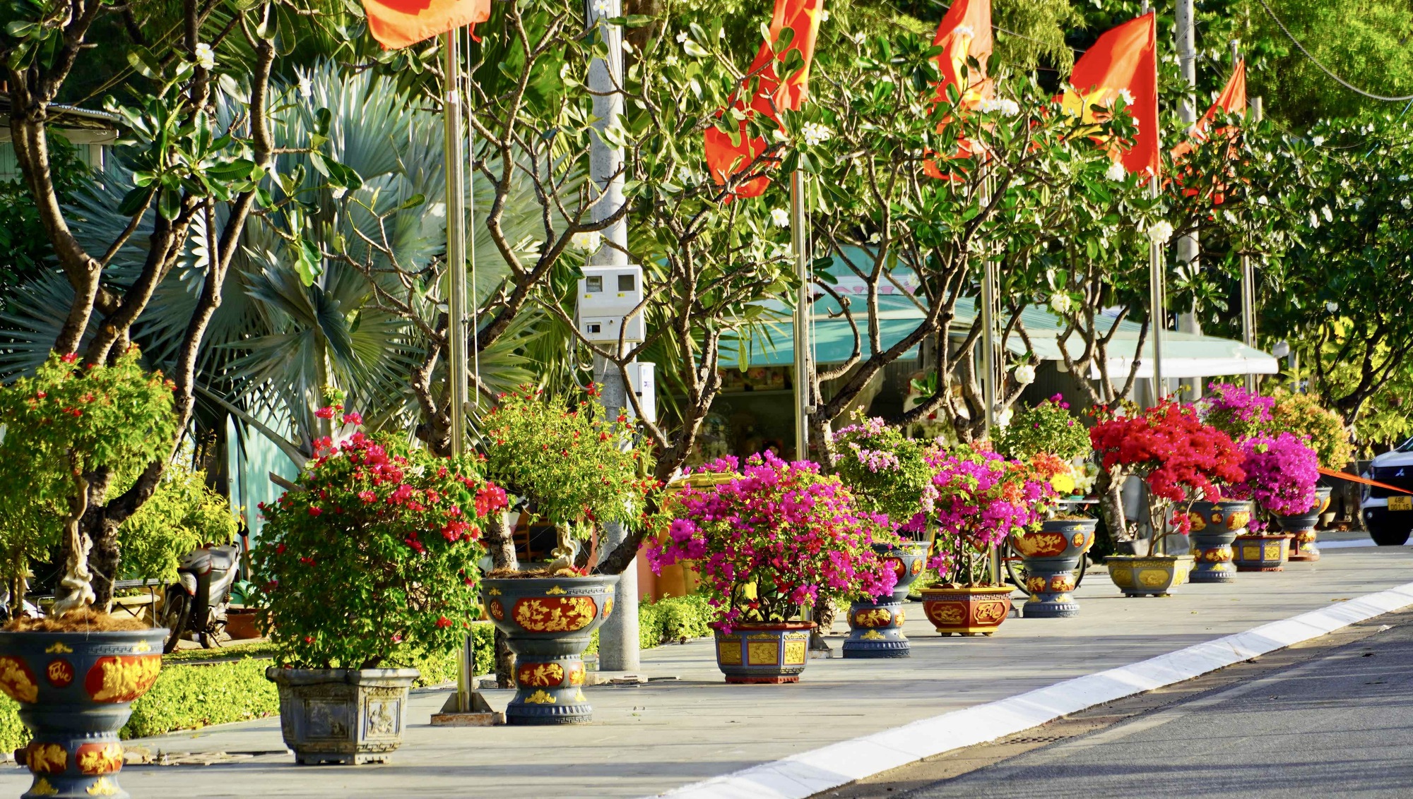 Dưới "Đường cờ Tổ quốc - Đường hoa Côn Đảo". - Ảnh 7.