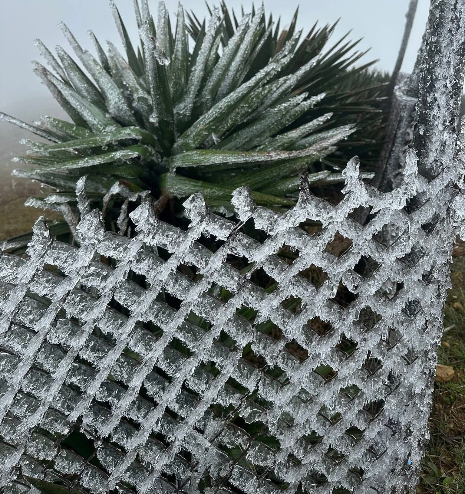 Rét đậm miền Bắc 1 độ C , đề phòng băng giá và mưa tuyết ngày 23 - 1 - Ảnh 1. Rét đậm miền Bắc 1 độ C , đề phòng băng giá và mưa tuyết ngày 23 - 1 - Ảnh 1.