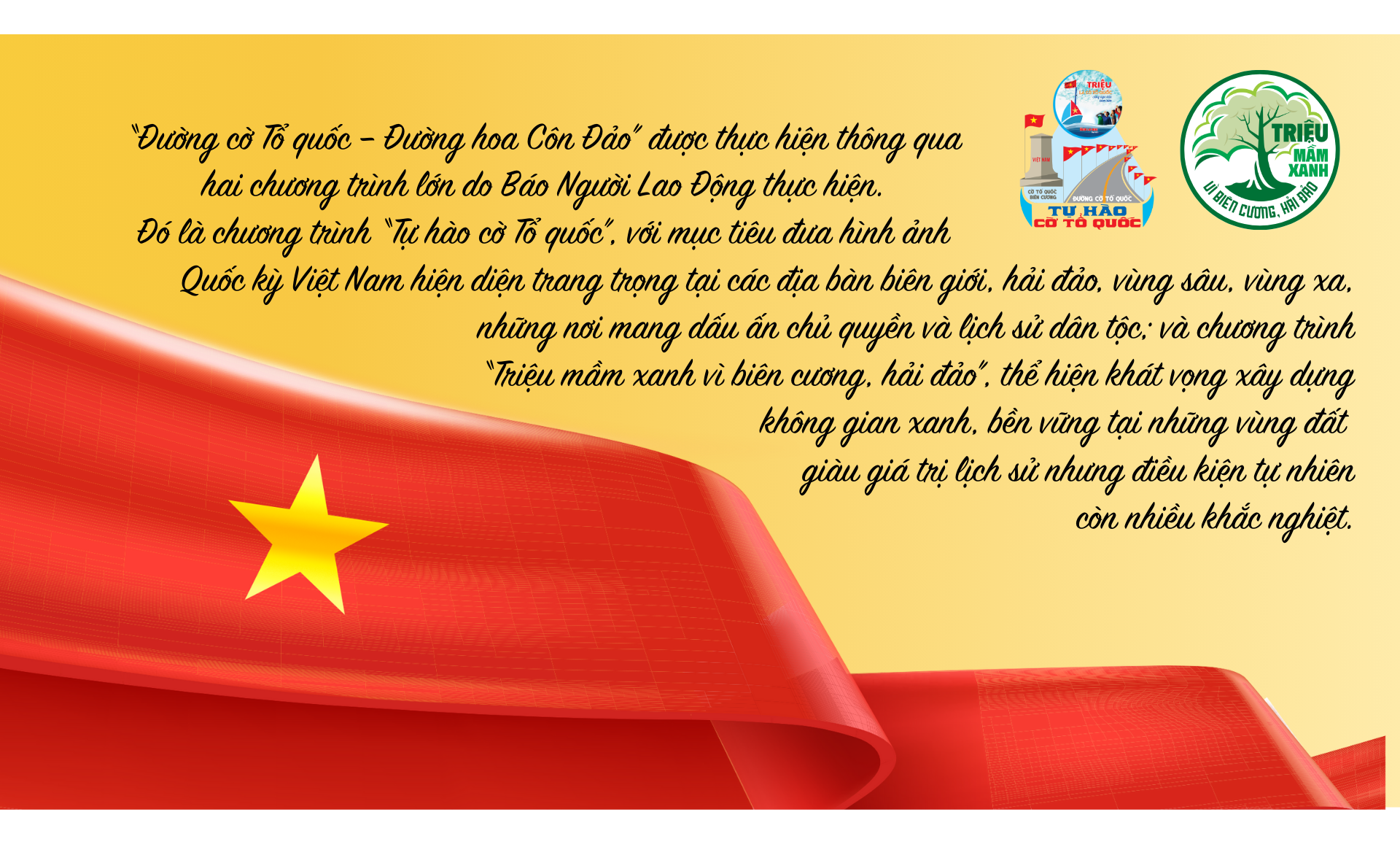 Sáng nay, khánh thành công trình “Đường cờ Tổ quốc - Đường hoa Côn Đảo” - Ảnh 8.