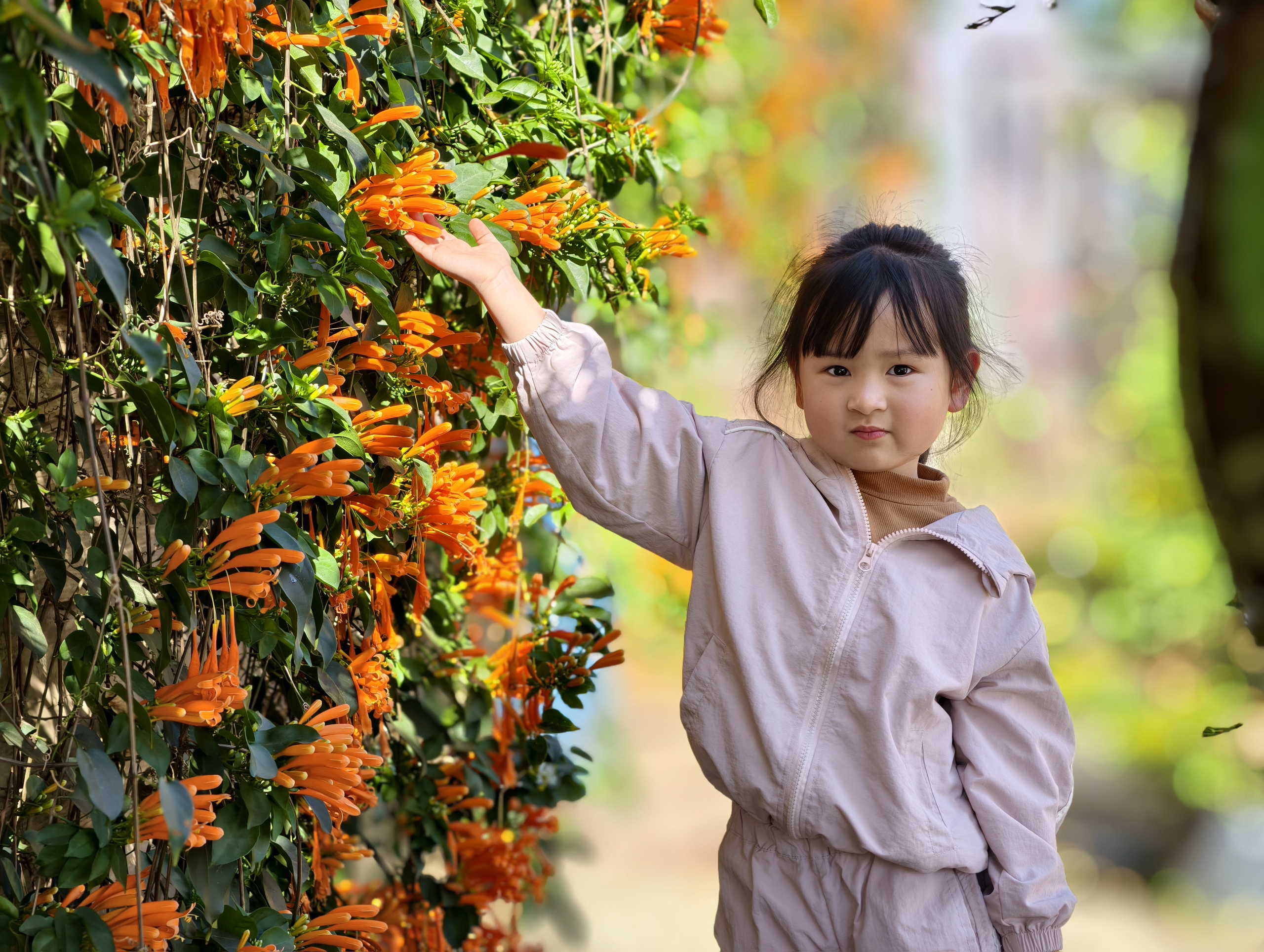Căn nhà dưới tán hoa xác pháo, đang "nổi như cồn" ở Lâm Đồng - Ảnh 15.