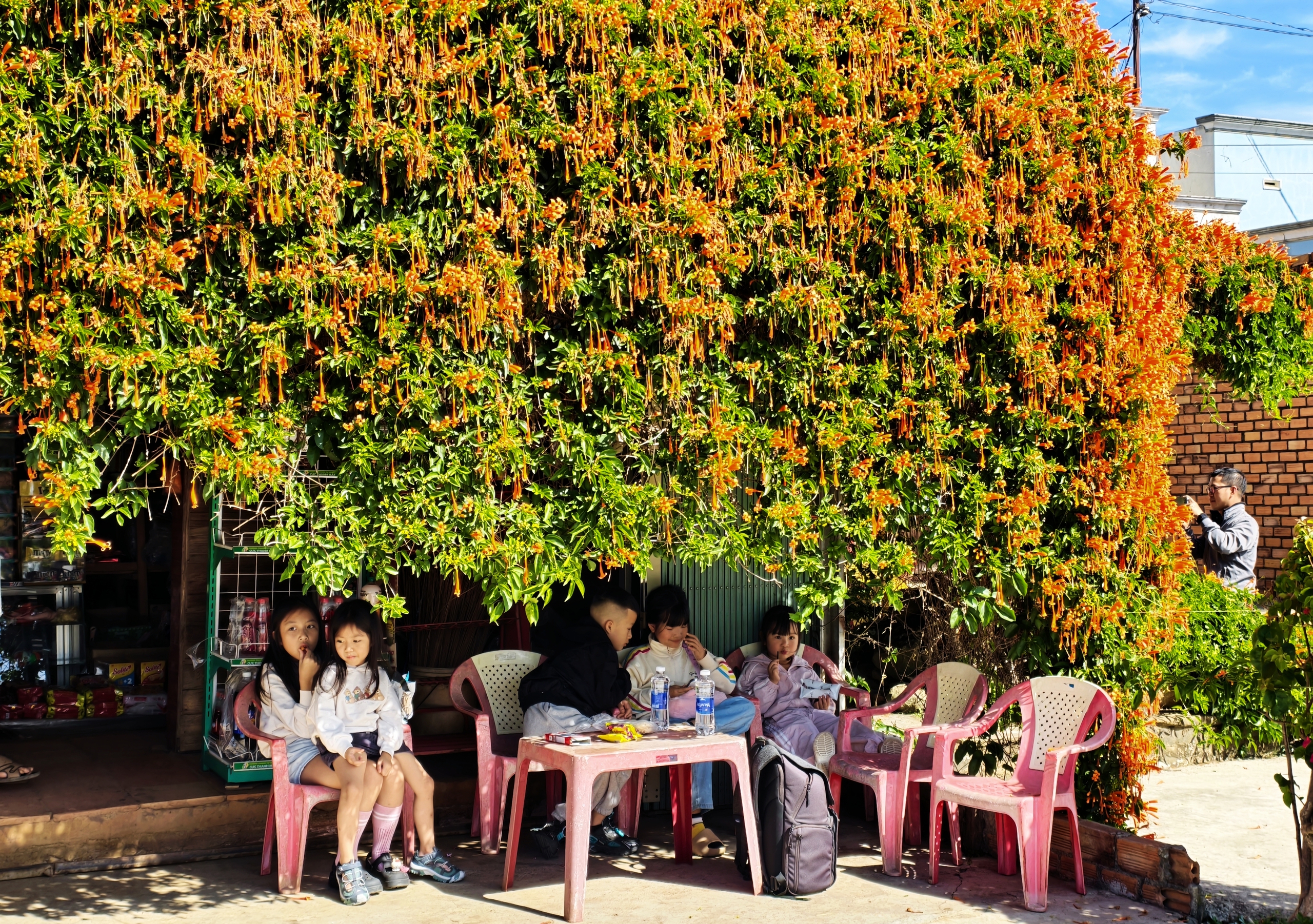Căn nhà dưới tán hoa xác pháo, đang "nổi như cồn" ở Lâm Đồng - Ảnh 18.
