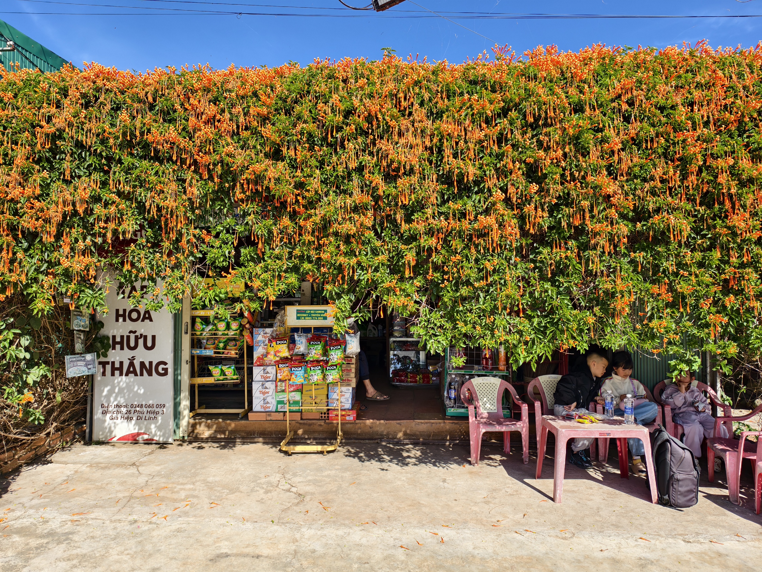 Căn nhà dưới tán hoa xác pháo, đang "nổi như cồn" ở Lâm Đồng - Ảnh 6.