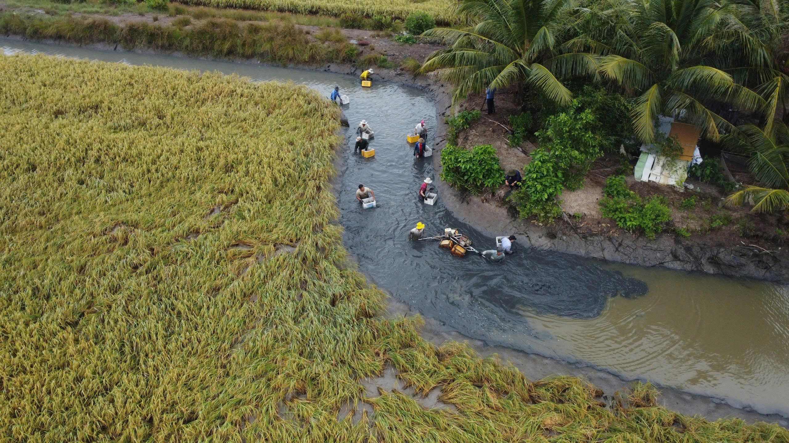 ĐẤT ĐÃ ẤM LÊN - Ảnh 1.