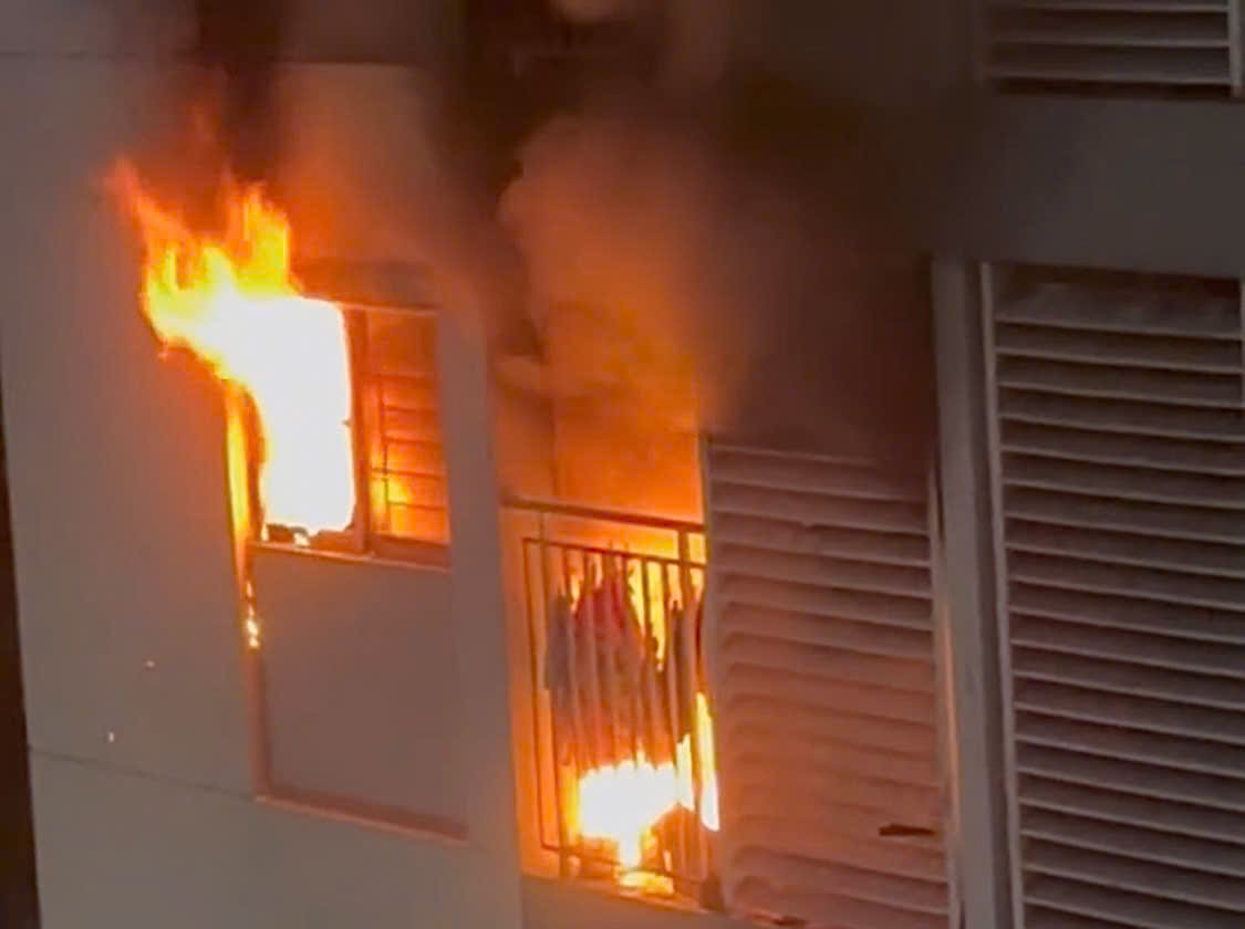 Trong ngày 24-1, tại TPHCM có những thông tin nổi bật gì? - Ảnh 6.