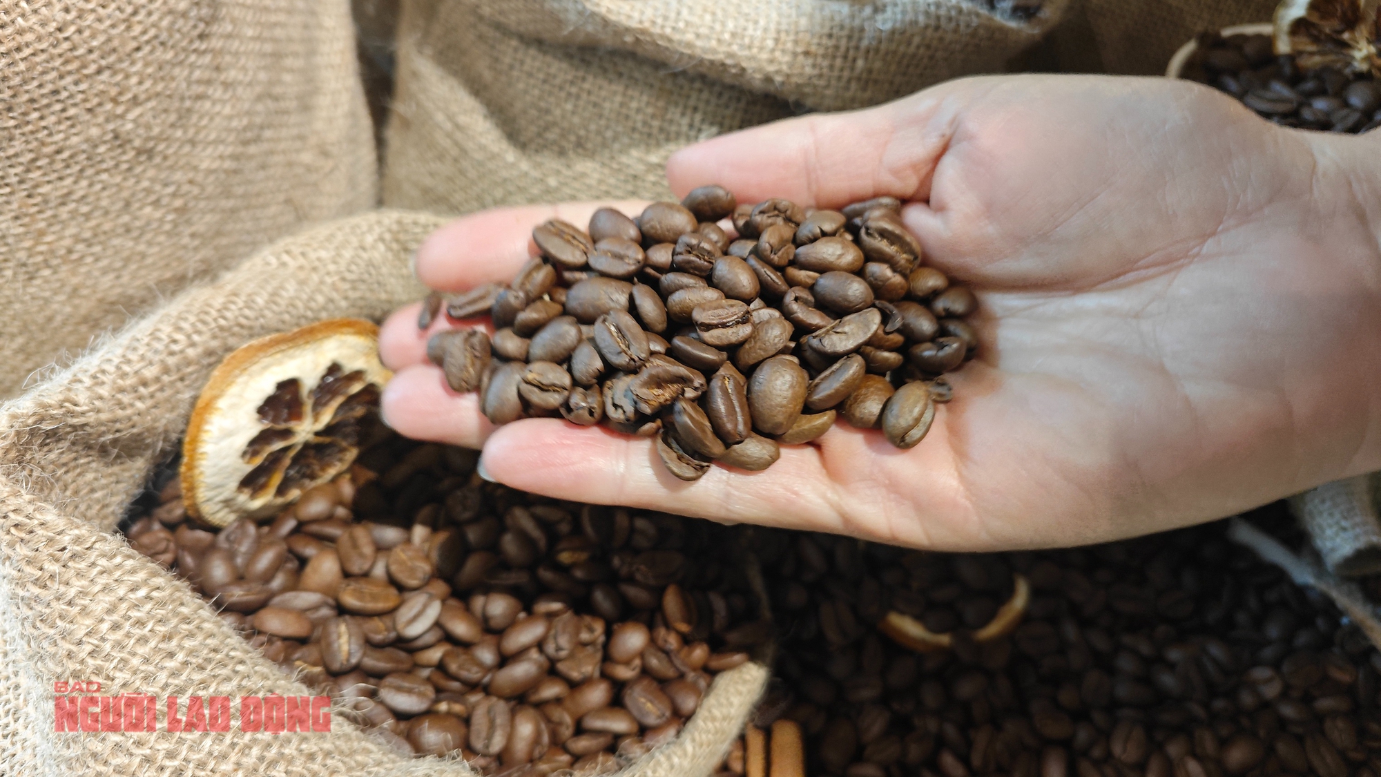 Gi&aacute; c&agrave; ph&ecirc; h&ocirc;m nay 25-1: Gi&aacute; tăng, n&ocirc;ng d&acirc;n mới vui một nửa - Ảnh 1.