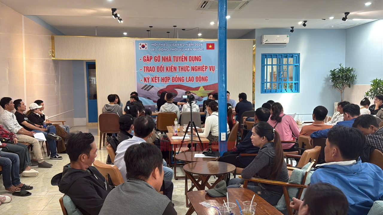 4 Người Hàn Quốc bị phạt vì tuyển lao động trái phép tại Cần Thơ - Ảnh 1.