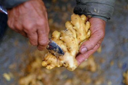 Tới Huế du Xu&acirc;n B&iacute;nh Ngọ: C&oacute; g&igrave; hấp dẫn, ở đ&acirc;u?  - Ảnh 2.