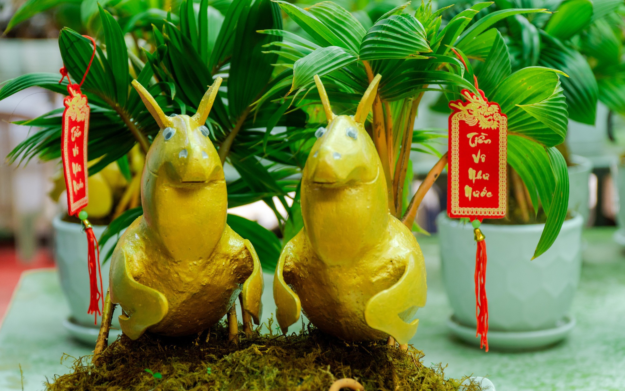 Những "chi&ecirc;u" khai vận độc lạ từ &Aacute; sang &Acirc;u - Ảnh 5.