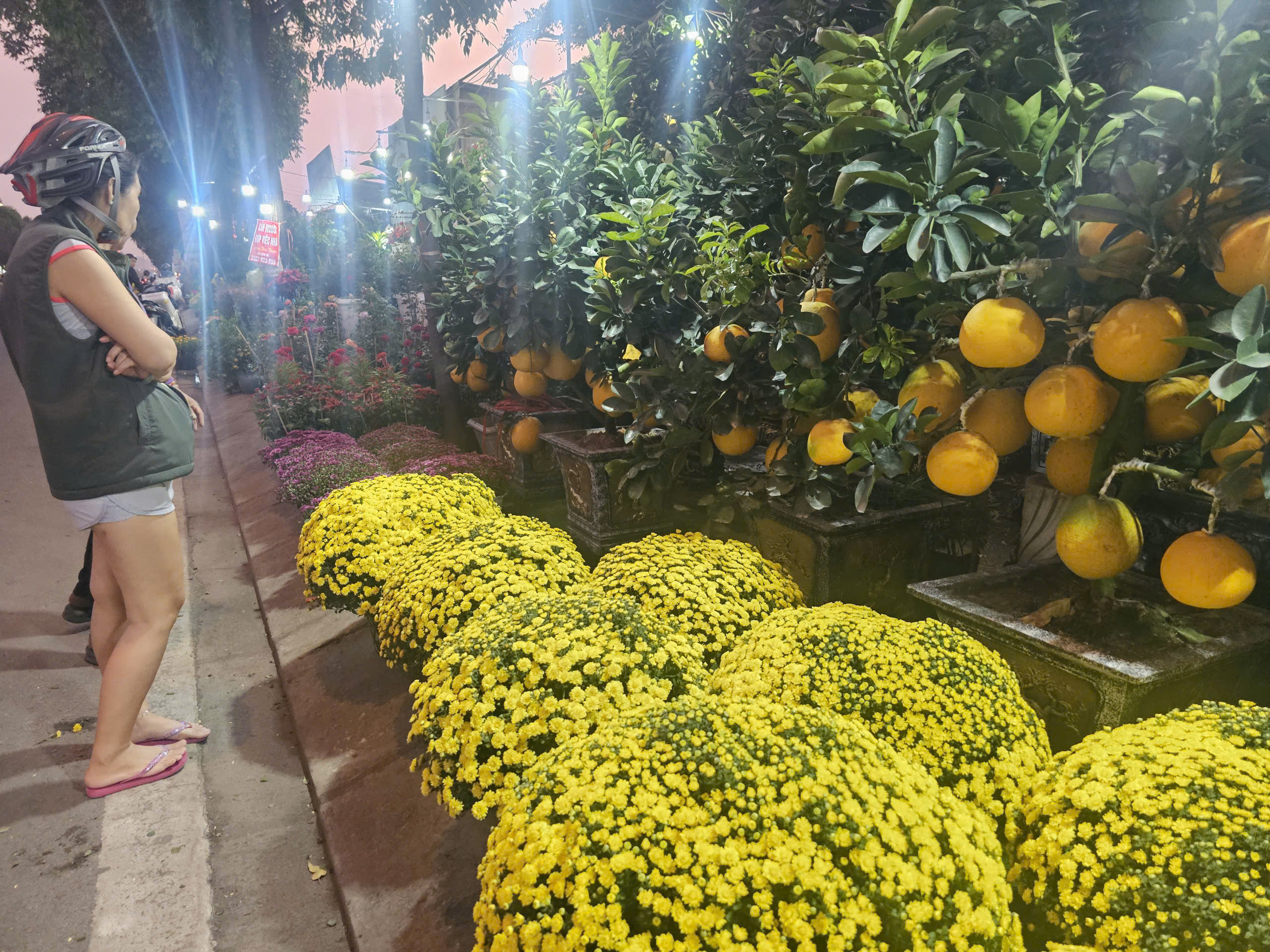 Giá cúc mâm xôi Tết năm nay có rẻ hơn không khi nhiều nơi kêu gọi giải cứu? - Ảnh 3.