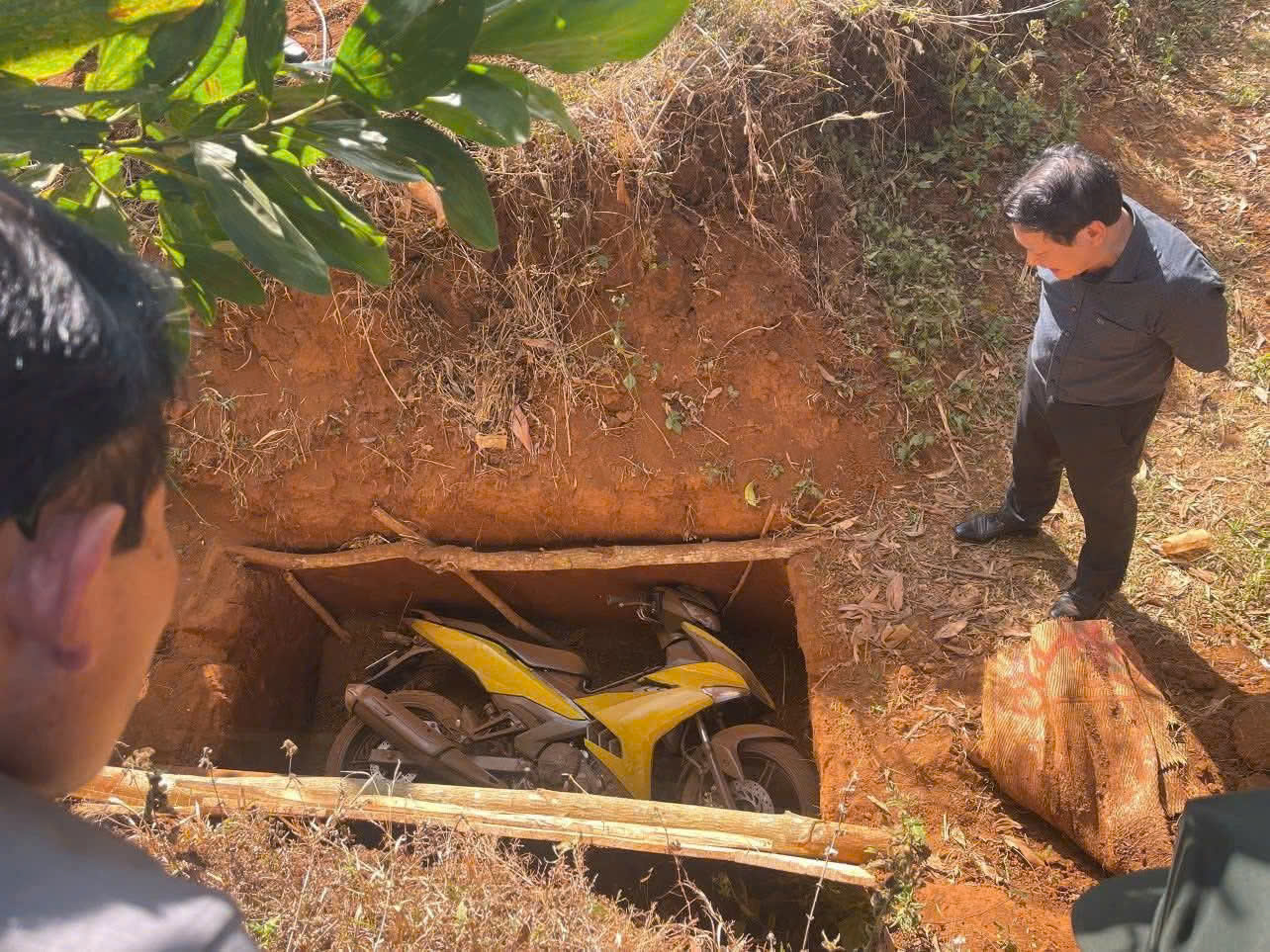 - Ảnh 2. - Ảnh 2.