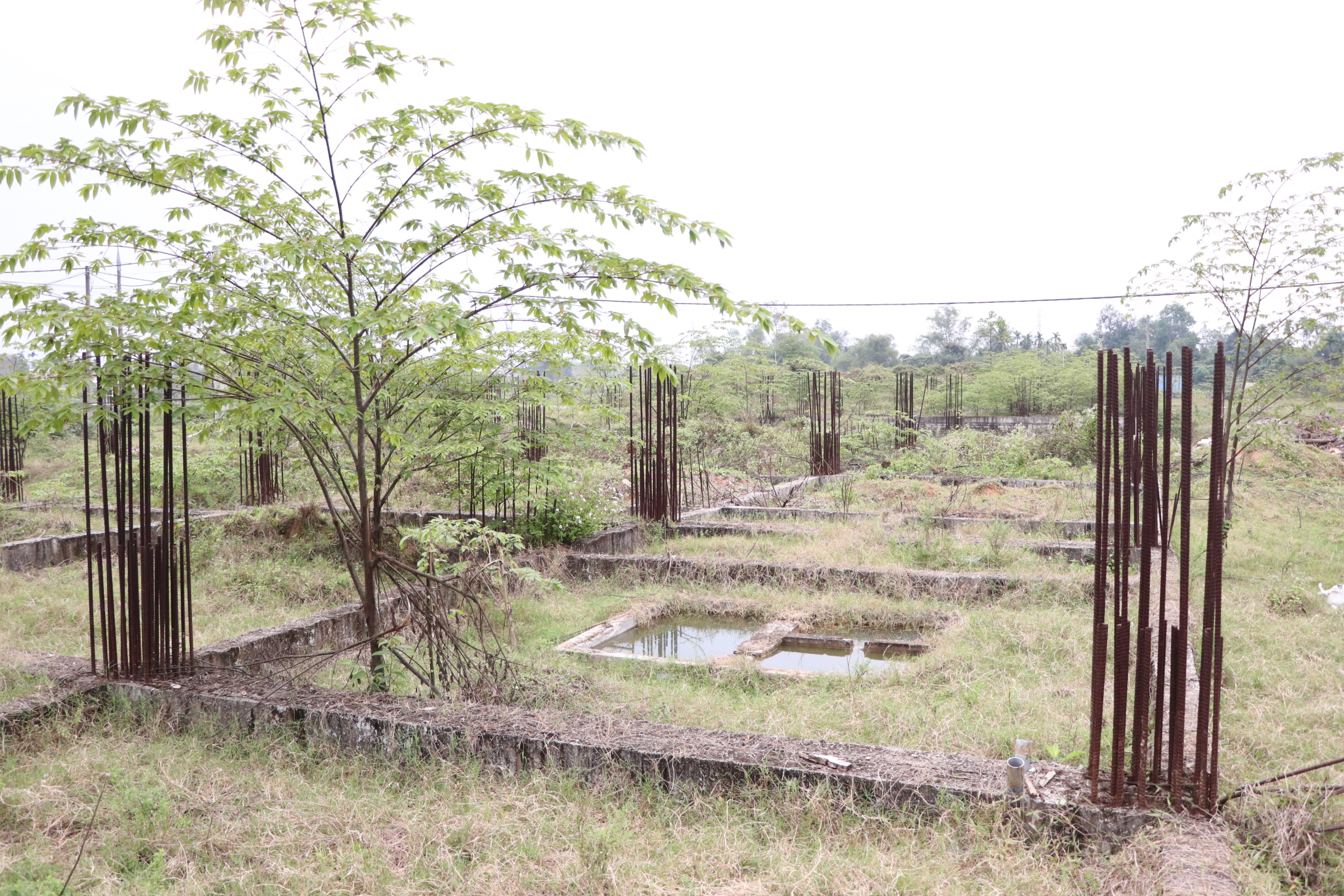 Dự án bất động sản Đà Nẵng kéo dài , cử tri bức xúc về tiến độ thi công - Ảnh 5. Dự án bất động sản Đà Nẵng kéo dài , cử tri bức xúc về tiến độ thi công - Ảnh 5.