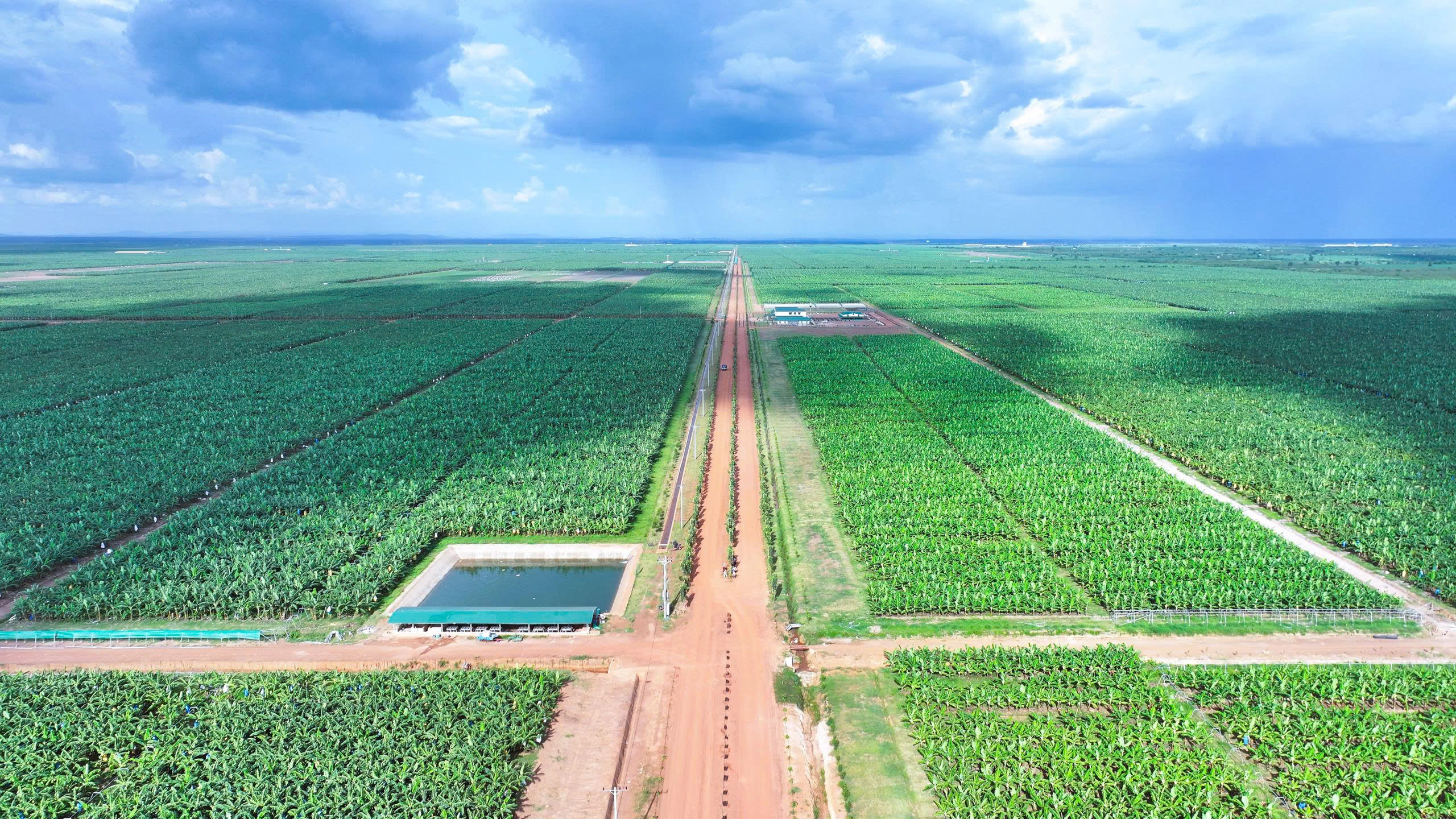 Hệ sinh thái nông nghiệp tuần hoàn 