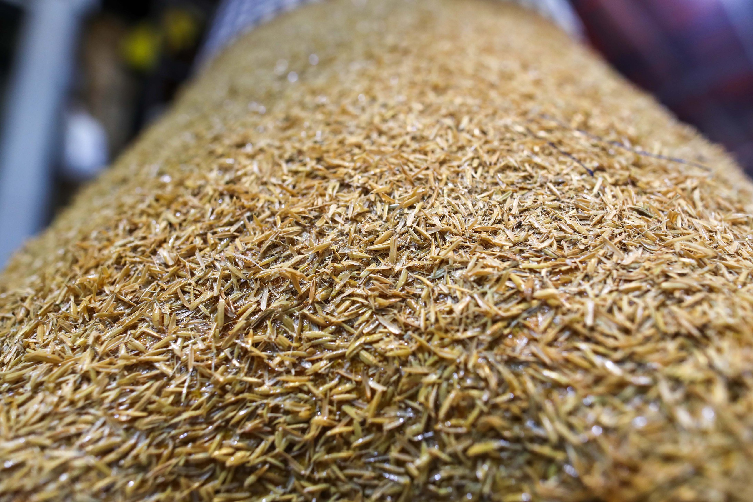 Cận cảnh linh vật ngựa tr&ecirc;n đường hoa Nguyễn Huệ Tết B&iacute;nh Ngọ 2026 - Ảnh 7.