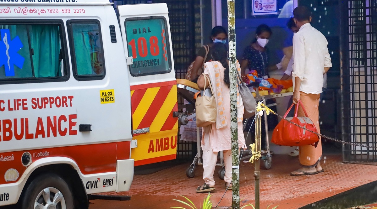 WHO, CDC nói về virus Nipah: Ai có nguy cơ, nguy hiểm đến đâu? - Ảnh 1.