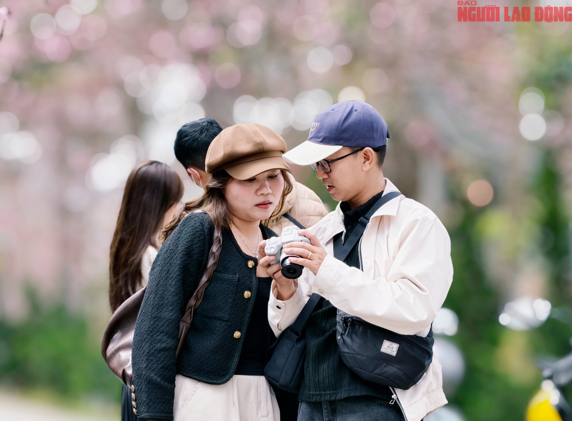 Du khách đổ về Đà Lạt ngắm những cung đường mai anh đào đẹp nhất 2026 - Ảnh 10. Du khách đổ về Đà Lạt ngắm những cung đường mai anh đào đẹp nhất 2026 - Ảnh 10.