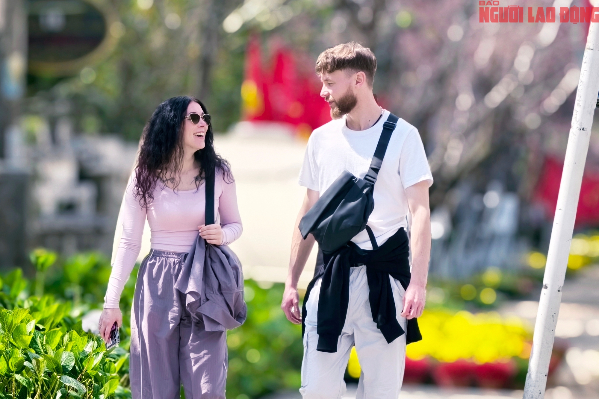 Du khách đổ về Đà Lạt ngắm những cung đường mai anh đào đẹp nhất 2026 - Ảnh 13. Du khách đổ về Đà Lạt ngắm những cung đường mai anh đào đẹp nhất 2026 - Ảnh 13.