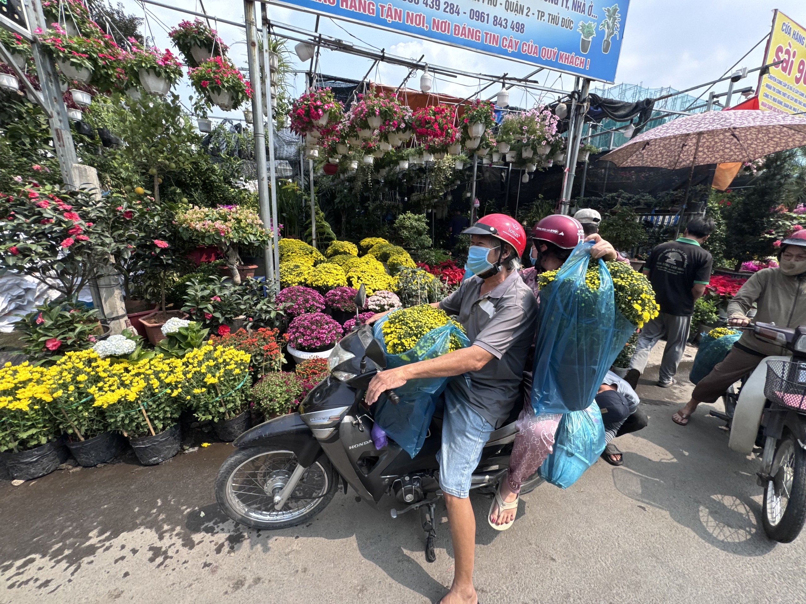 Hoa, kiểng Tết bắt đầu nhộn nhịp - Ảnh 1.