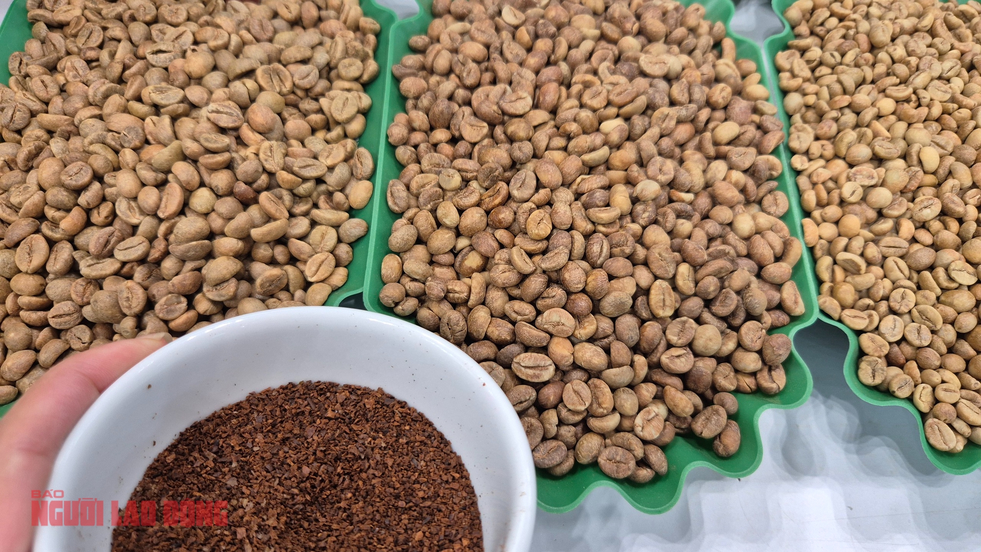 Giá cà phê hôm nay 28-1: Tăng nóng - Ảnh 1.