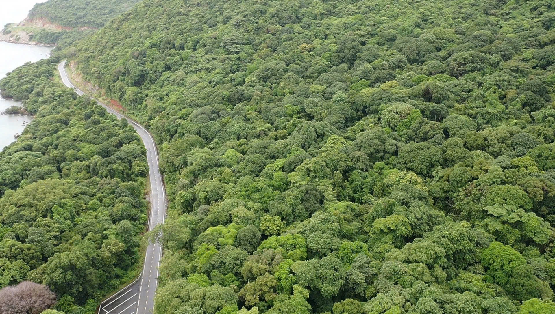 Thanh tra chuyển mục đích sử dụng đất rừng cho nhà máy xử lý rác Côn Đảo - Ảnh 1. Thanh tra chuyển mục đích sử dụng đất rừng cho nhà máy xử lý rác Côn Đảo - Ảnh 1.