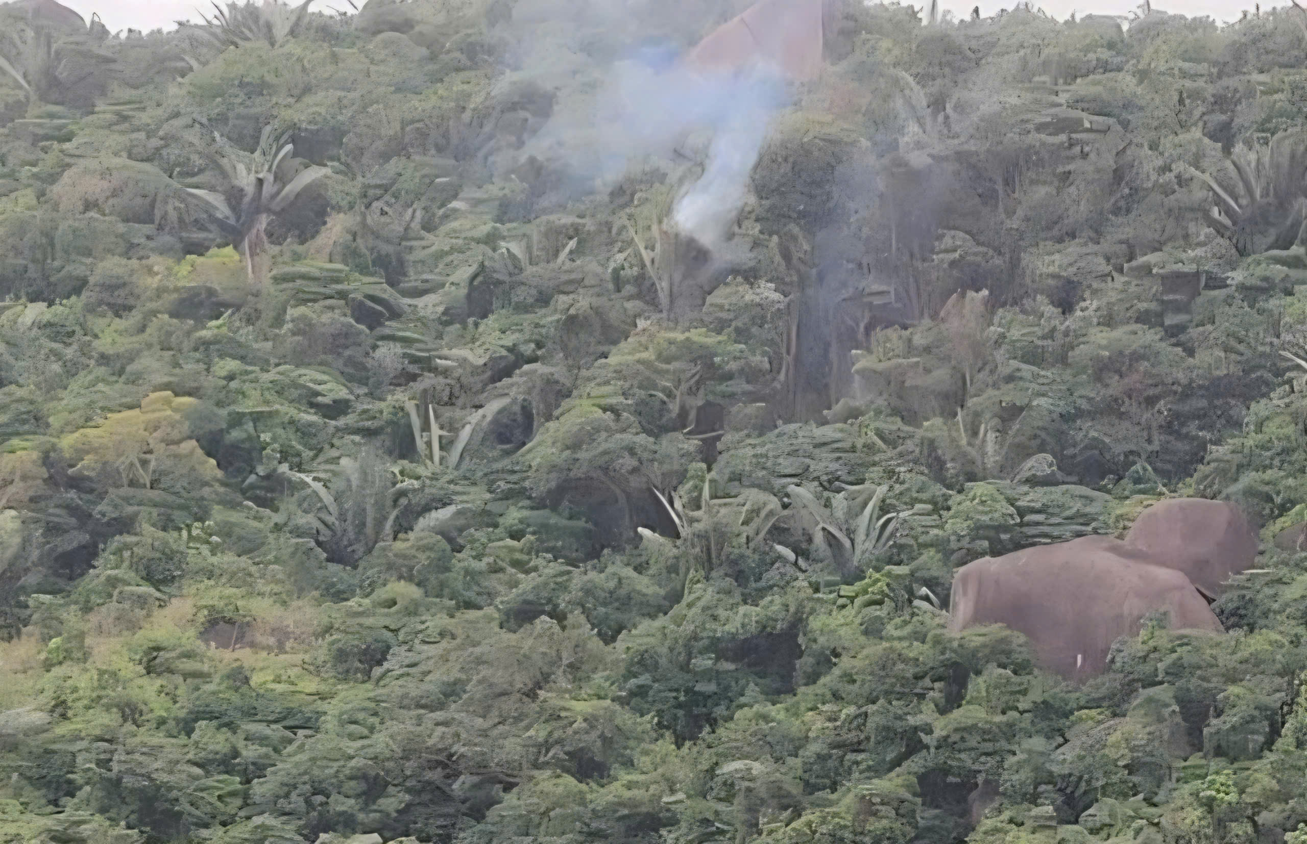 Rơi máy bay quân sự tại Đắk Lắk , phi công nhảy dù thoát nạn kịp thời - Ảnh 1.