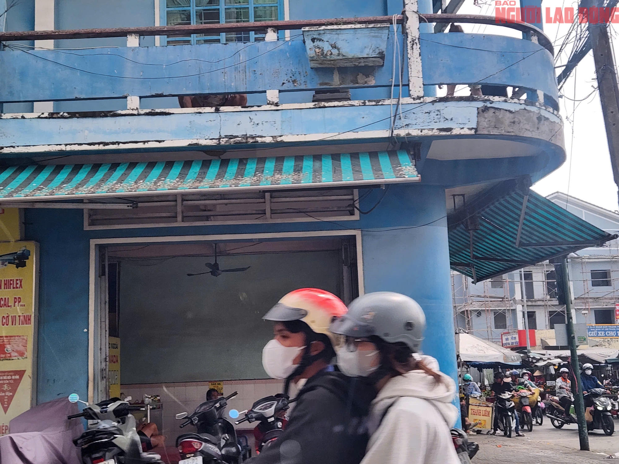 Cần Thơ: Người d&acirc;n khốn đốn v&igrave; ph&acirc;n của h&agrave;ng ng&agrave;n con chim &eacute;n - Ảnh 3.