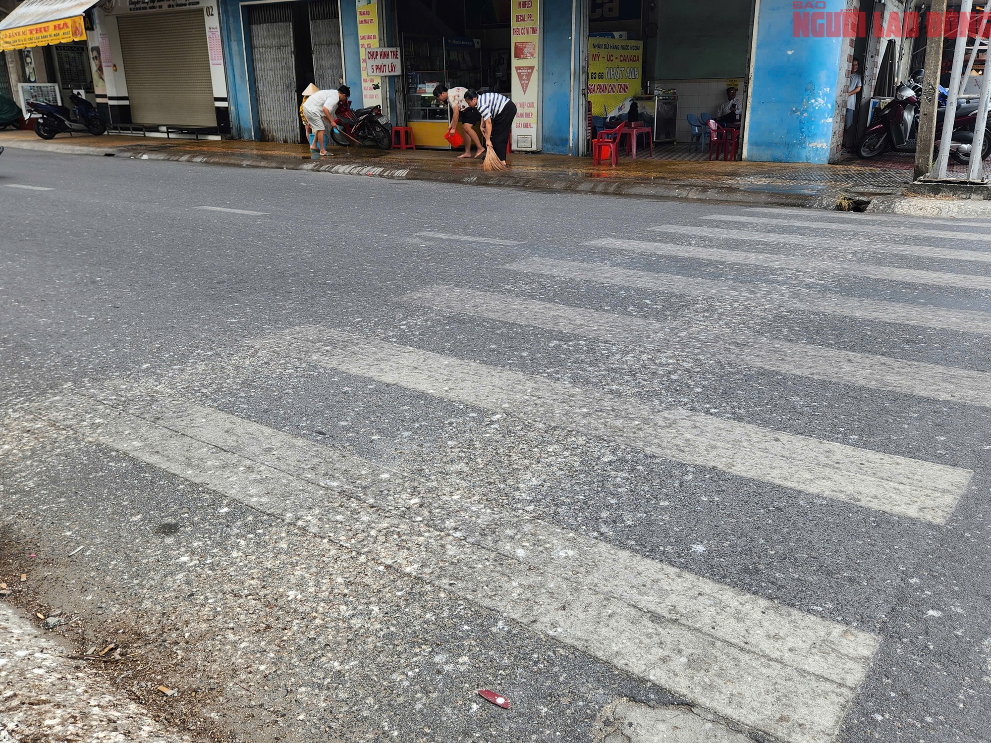 Cần Thơ: Người d&acirc;n khốn đốn v&igrave; ph&acirc;n của h&agrave;ng ng&agrave;n con chim &eacute;n - Ảnh 4.