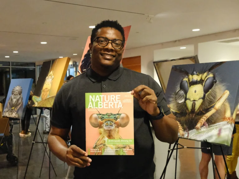 Kh&aacute;m ph&aacute; thế giới c&ocirc;n tr&ugrave;ng qua những bức ảnh cận cảnh - Ảnh 7.