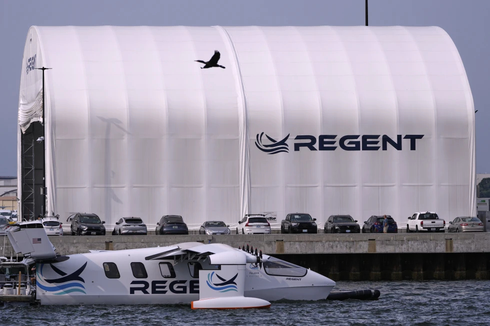 Ph&agrave; chở kh&aacute;ch c&oacute; c&aacute;nh - Ảnh 10.