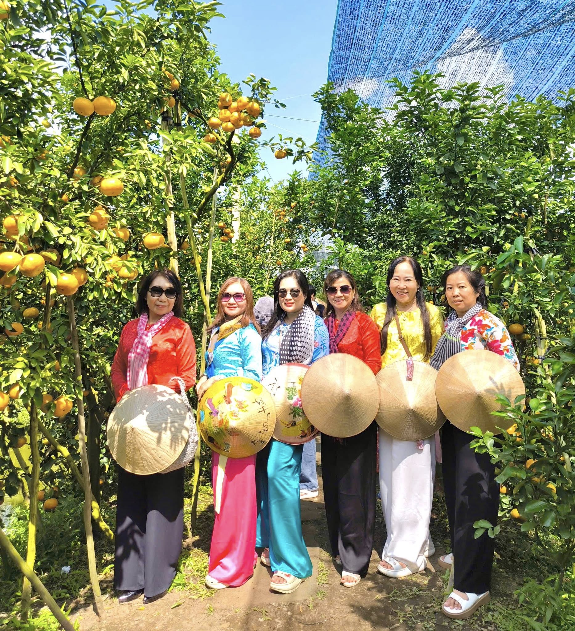 VIDEO: Du kh&aacute;ch &ldquo;ngất ng&acirc;y&rdquo; với những vườn qu&yacute;t v&agrave;ng rực ở Đồng Th&aacute;p - Ảnh 2.