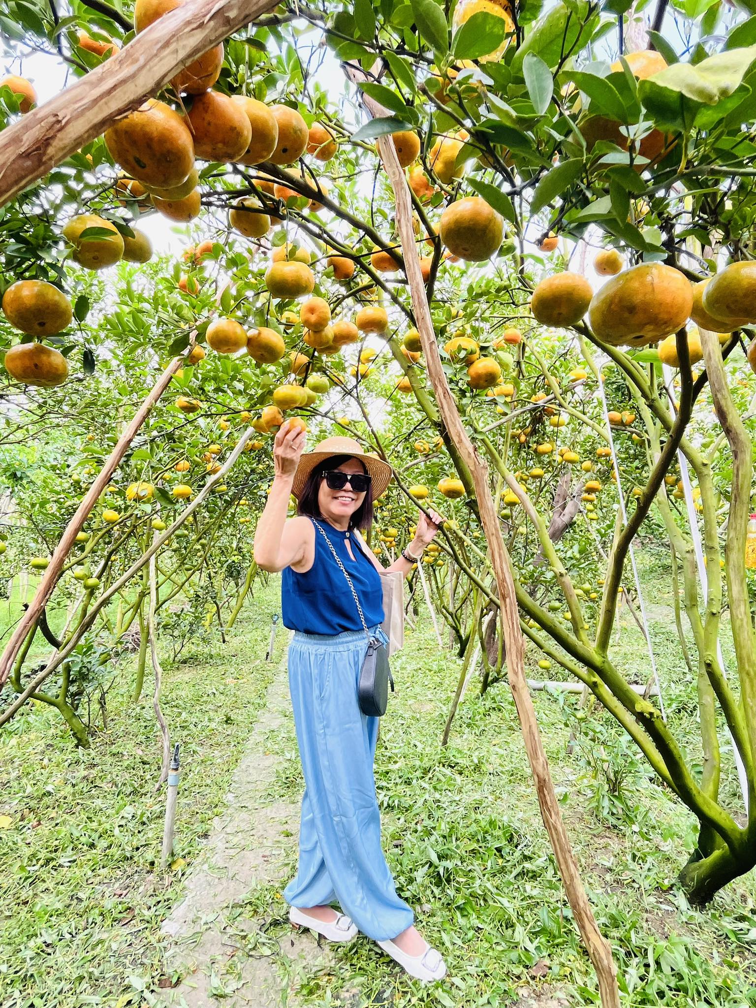 VIDEO: Du kh&aacute;ch &ldquo;ngất ng&acirc;y&rdquo; với những vườn qu&yacute;t v&agrave;ng rực ở Đồng Th&aacute;p - Ảnh 8.
