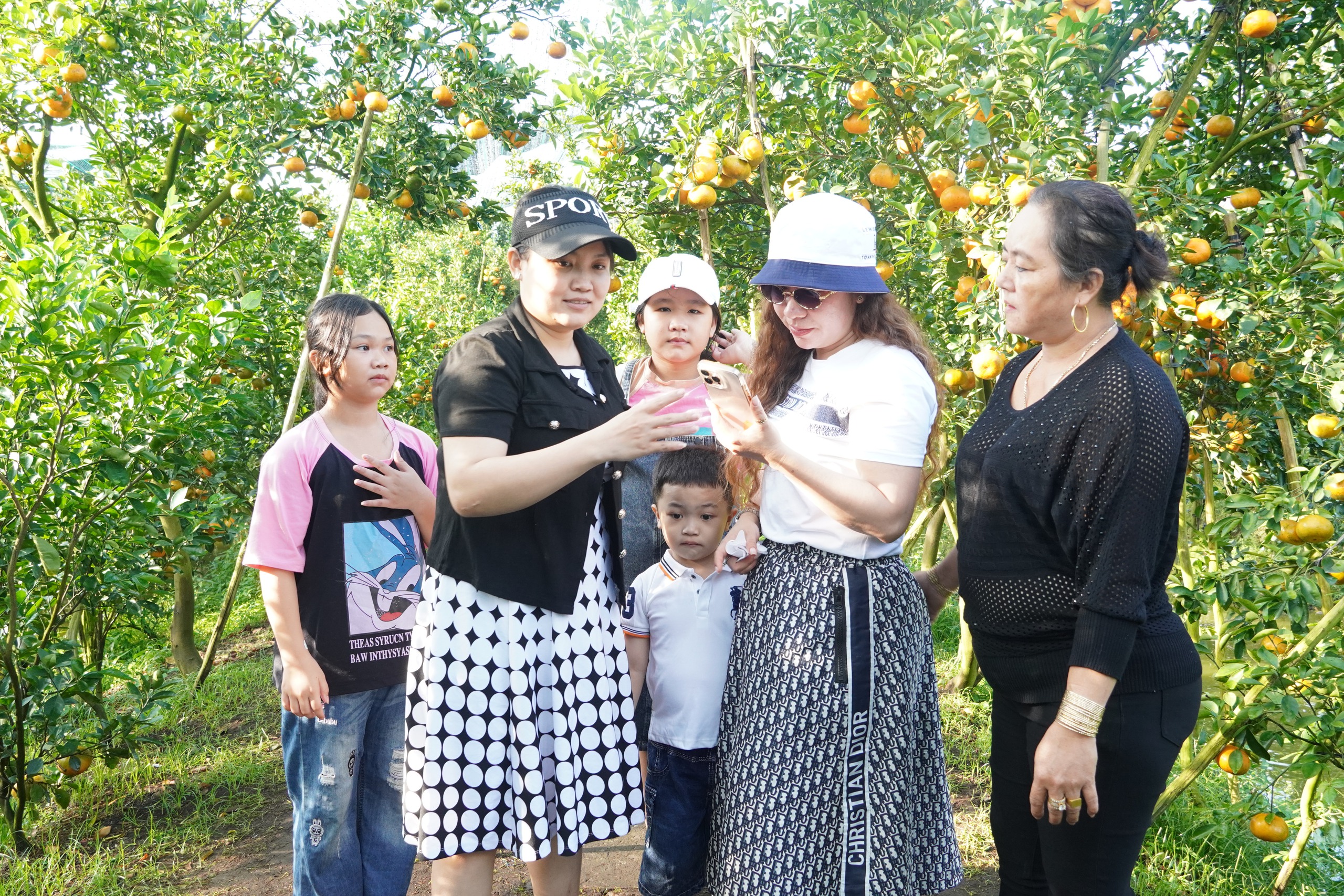 VIDEO: Du kh&aacute;ch &ldquo;ngất ng&acirc;y&rdquo; với những vườn qu&yacute;t v&agrave;ng rực ở Đồng Th&aacute;p - Ảnh 30.