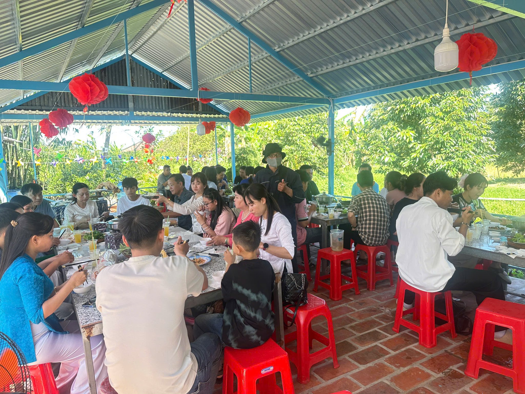 VIDEO: Du kh&aacute;ch &ldquo;ngất ng&acirc;y&rdquo; với những vườn qu&yacute;t v&agrave;ng rực ở Đồng Th&aacute;p - Ảnh 19.