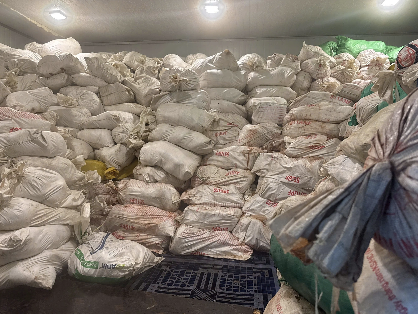 Khám phá vụ phát hiện 60 tấn lòng heo hôi thối tại Hà Nội - Ảnh 1.