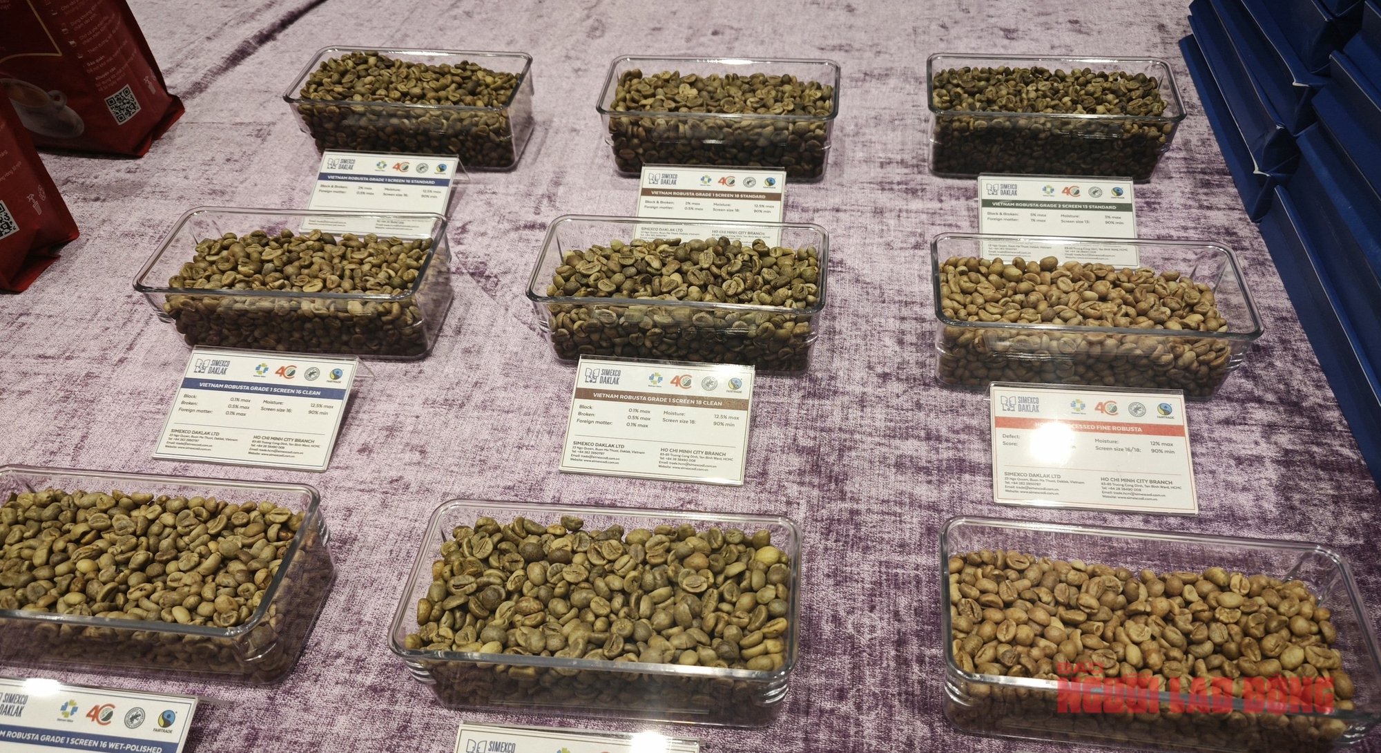 Giá cà phê hôm nay 31 - 1 giảm mạnh , xuất khẩu khả quan năm 2026 - Ảnh 2. Giá cà phê hôm nay 31 - 1 giảm mạnh , xuất khẩu khả quan năm 2026 - Ảnh 2.