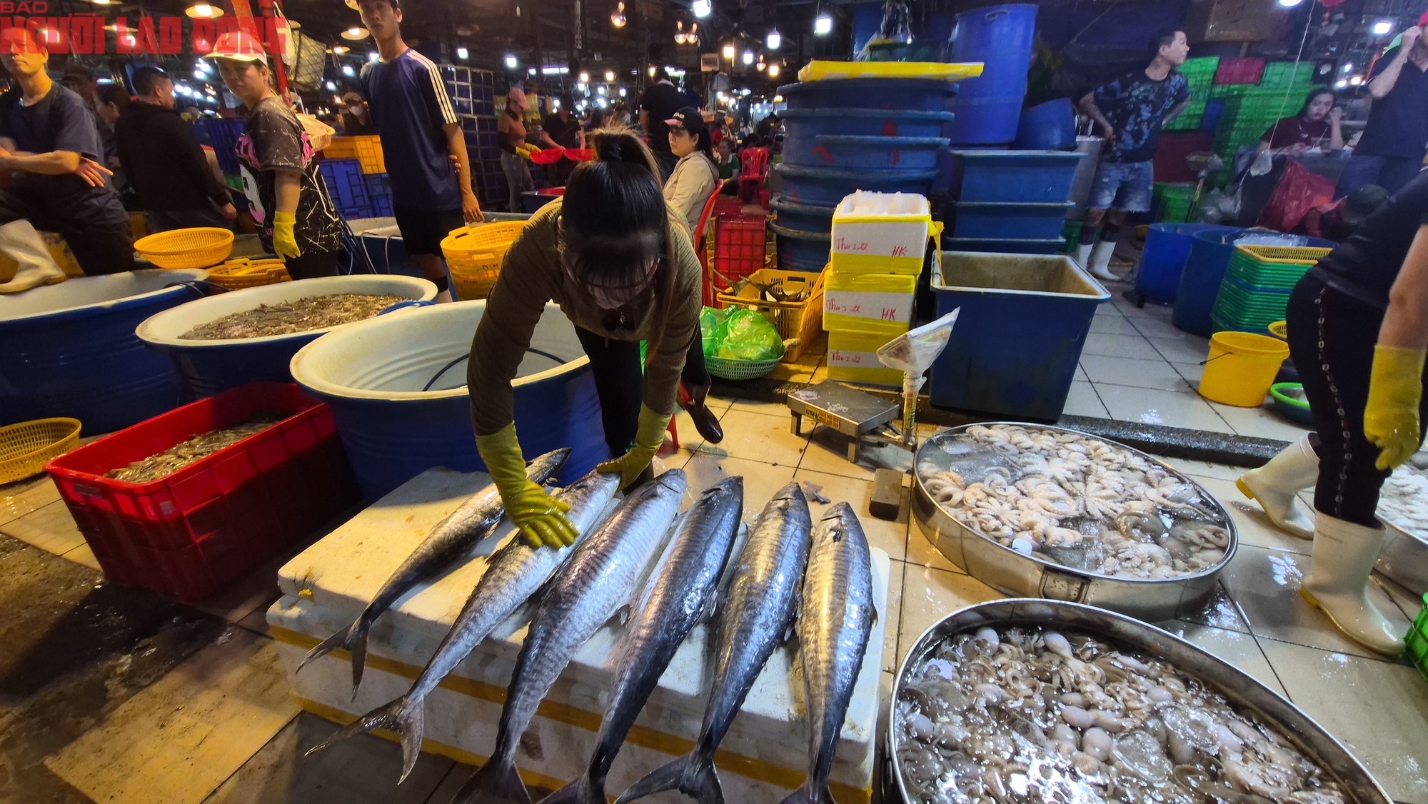 Nửa đêm ở chợ đầu mối TP HCM trước Tết Bính Ngọ 2026 - Ảnh 1. Nửa đêm ở chợ đầu mối TP HCM trước Tết Bính Ngọ 2026 - Ảnh 1.