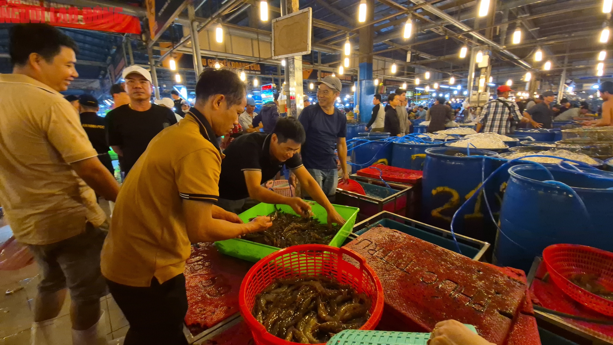 Nửa đêm ở chợ đầu mối TP HCM trước Tết Bính Ngọ 2026 - Ảnh 5. Nửa đêm ở chợ đầu mối TP HCM trước Tết Bính Ngọ 2026 - Ảnh 5.