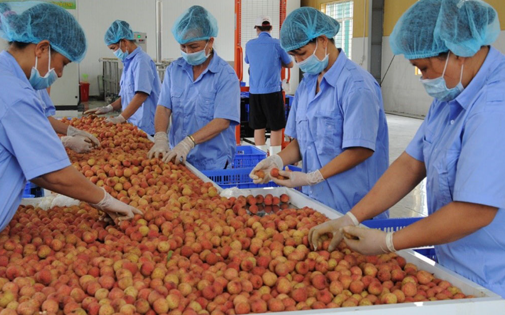 Bộ N&ocirc;ng nghiệp v&agrave; M&ocirc;i trường giải quyết &ugrave;n tắc n&ocirc;ng sản tại cửa khẩu 2026 - Ảnh 2.