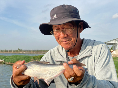 Ngành hàng cá tra đón đầu cơ hội - Ảnh 1. Ngành hàng cá tra đón đầu cơ hội - Ảnh 1.