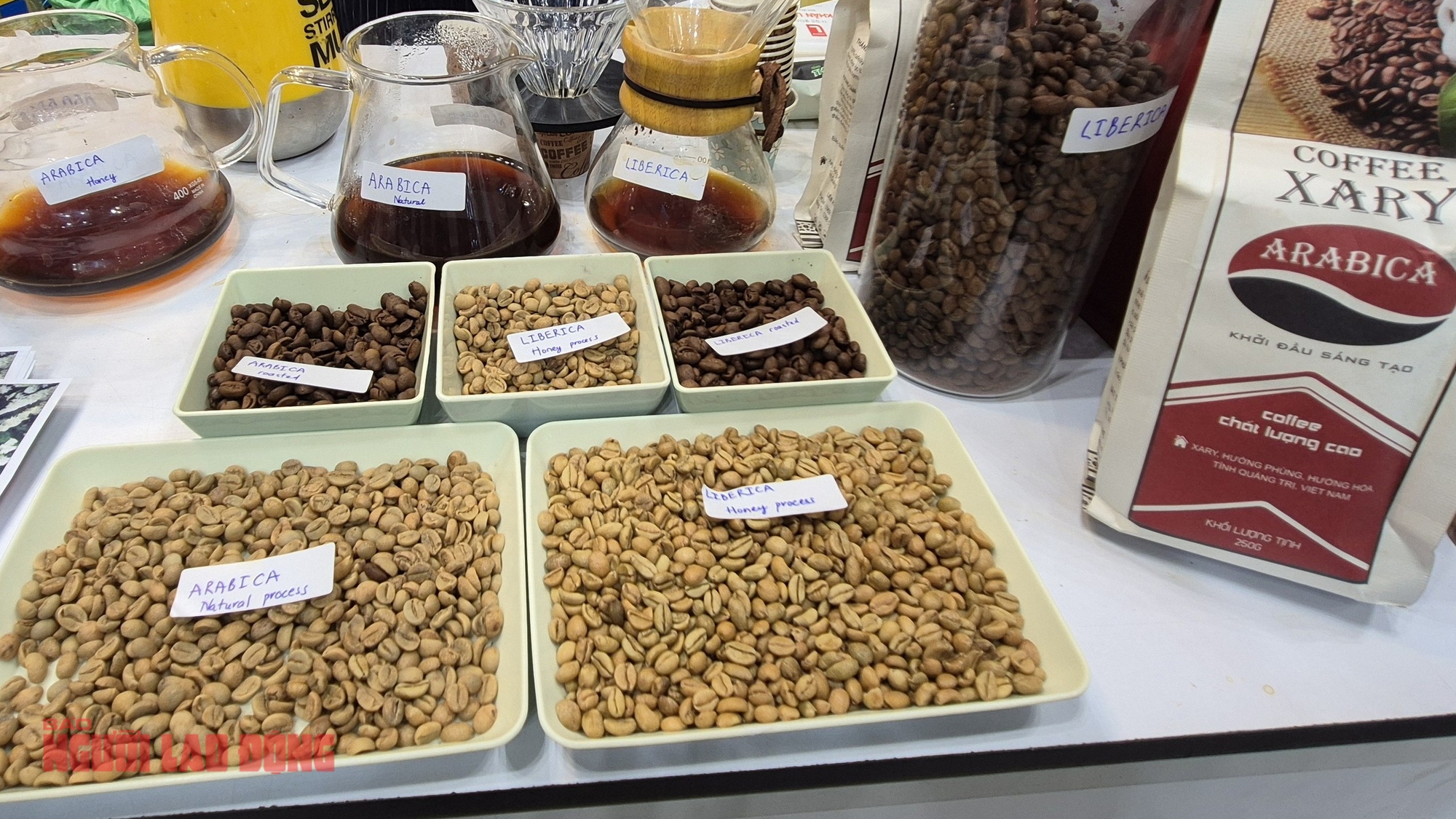 Gi&aacute; c&agrave; ph&ecirc; h&ocirc;m nay 5 - 1: Arabica Việt Nam c&oacute; sự tăng trưởng Bất ngờ - Ảnh 3.