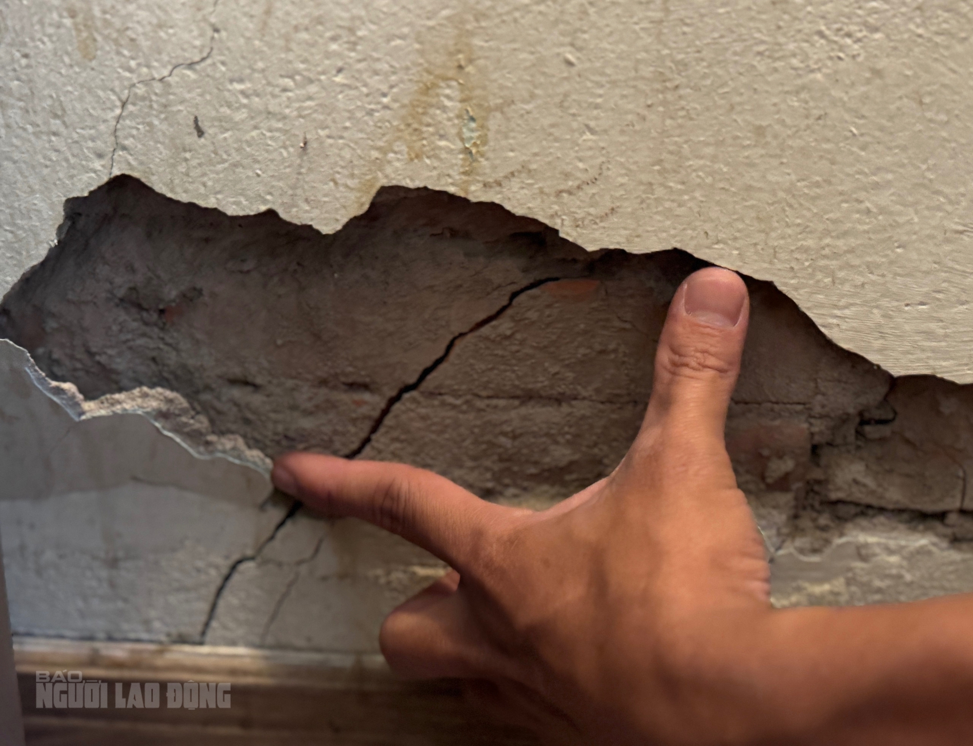 - Ảnh 5. - Ảnh 5.