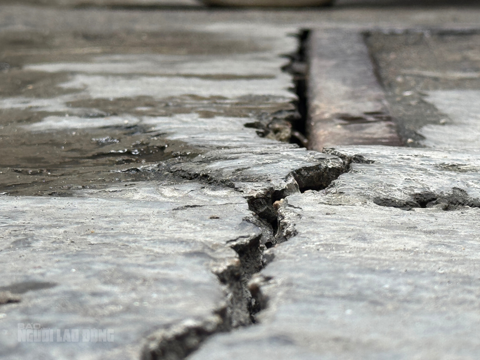 - Ảnh 6. - Ảnh 6.