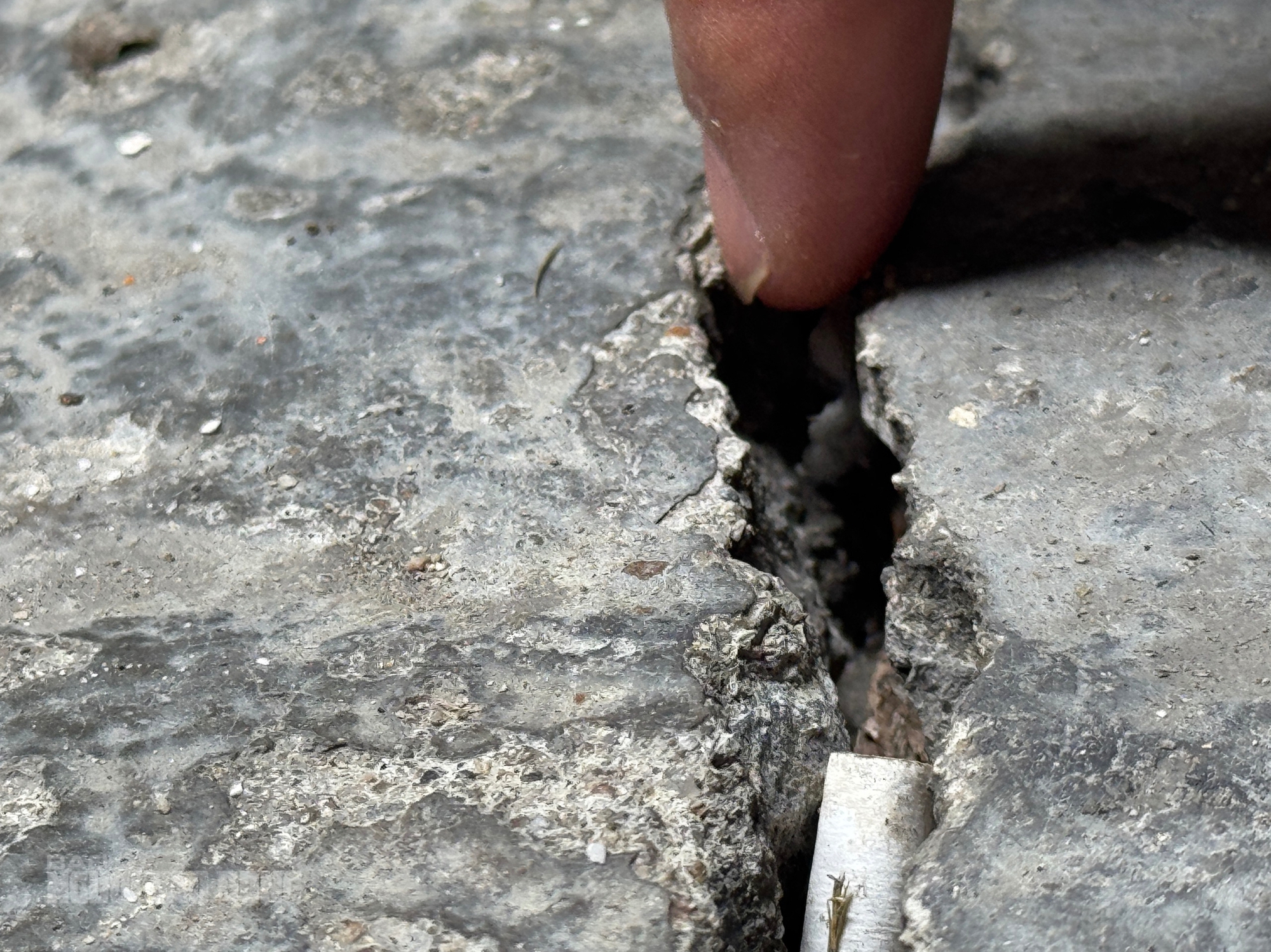 - Ảnh 7. - Ảnh 7.