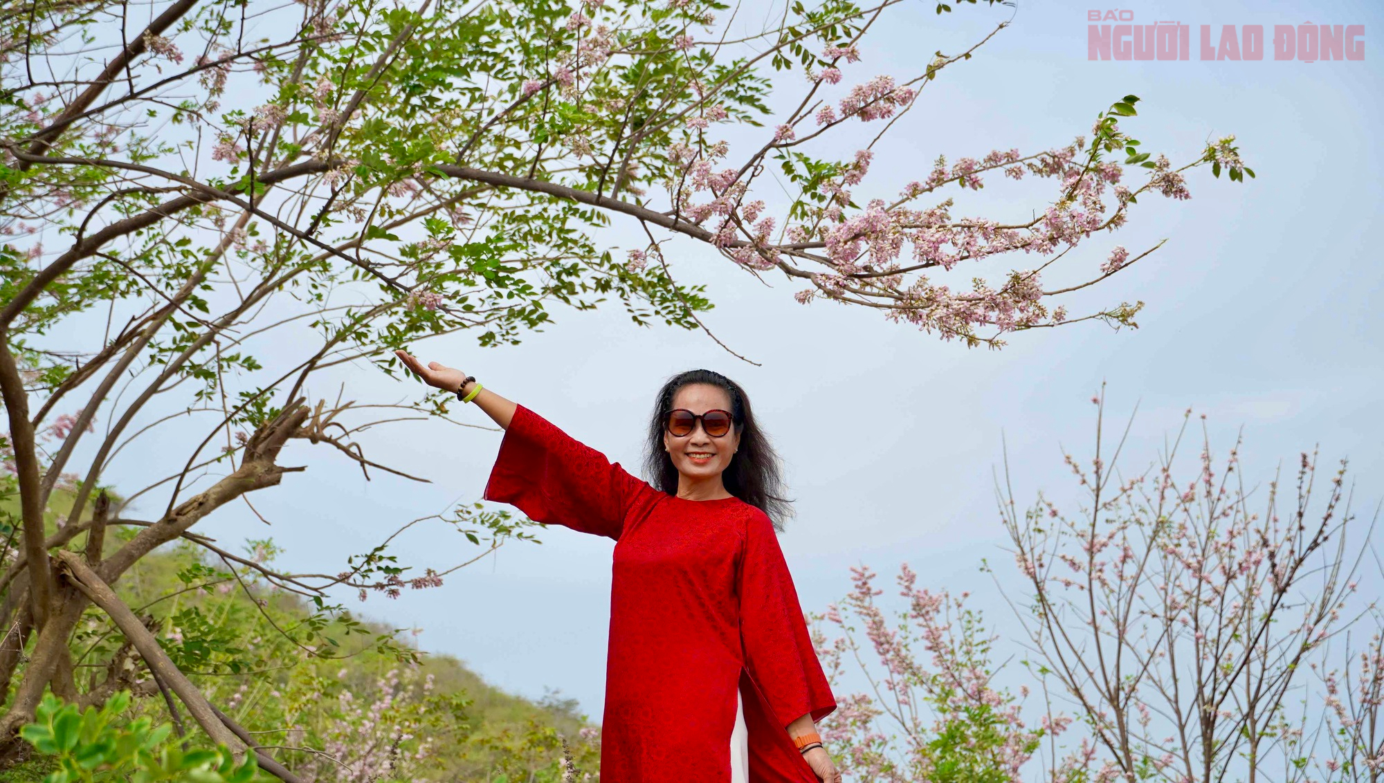 Hoa đỗ mai nở rộ, Vũng T&agrave;u dịu d&agrave;ng bước v&agrave;o xu&acirc;n - Ảnh 10.