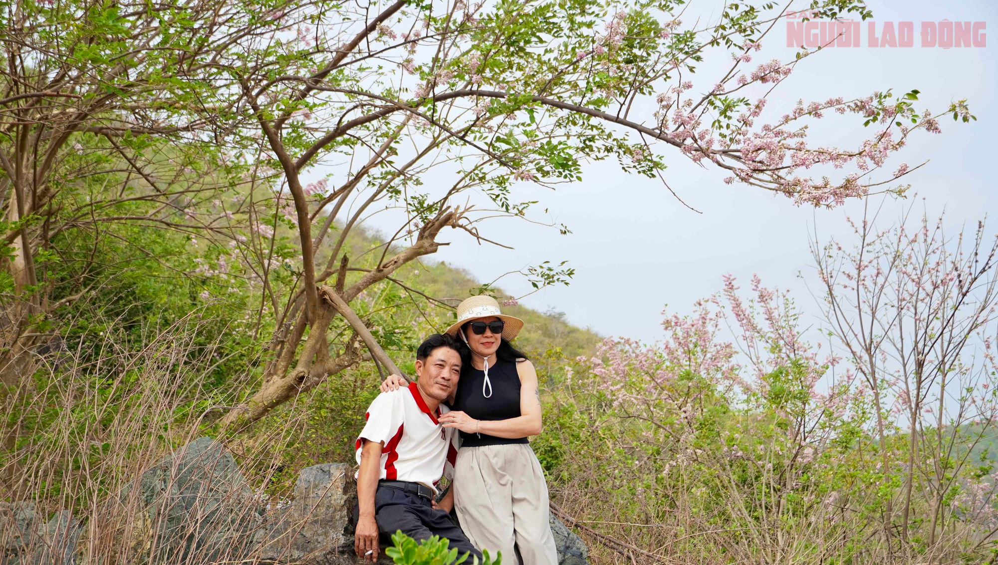 Hoa đỗ mai nở rộ, Vũng T&agrave;u dịu d&agrave;ng bước v&agrave;o xu&acirc;n - Ảnh 11.