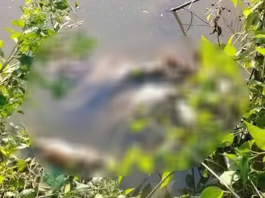 Vụ nữ sinh lớp 7 bị s&aacute;t hại: Nghi phạm c&oacute; thể đối mặt với h&igrave;nh phạt n&agrave;o? - Ảnh 3.