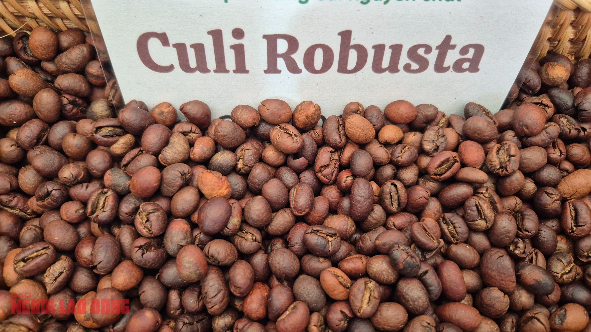 Giá cà phê hôm nay 6 - 1 giảm sau 7 phiên tăng liên tiếp - Ảnh 2.