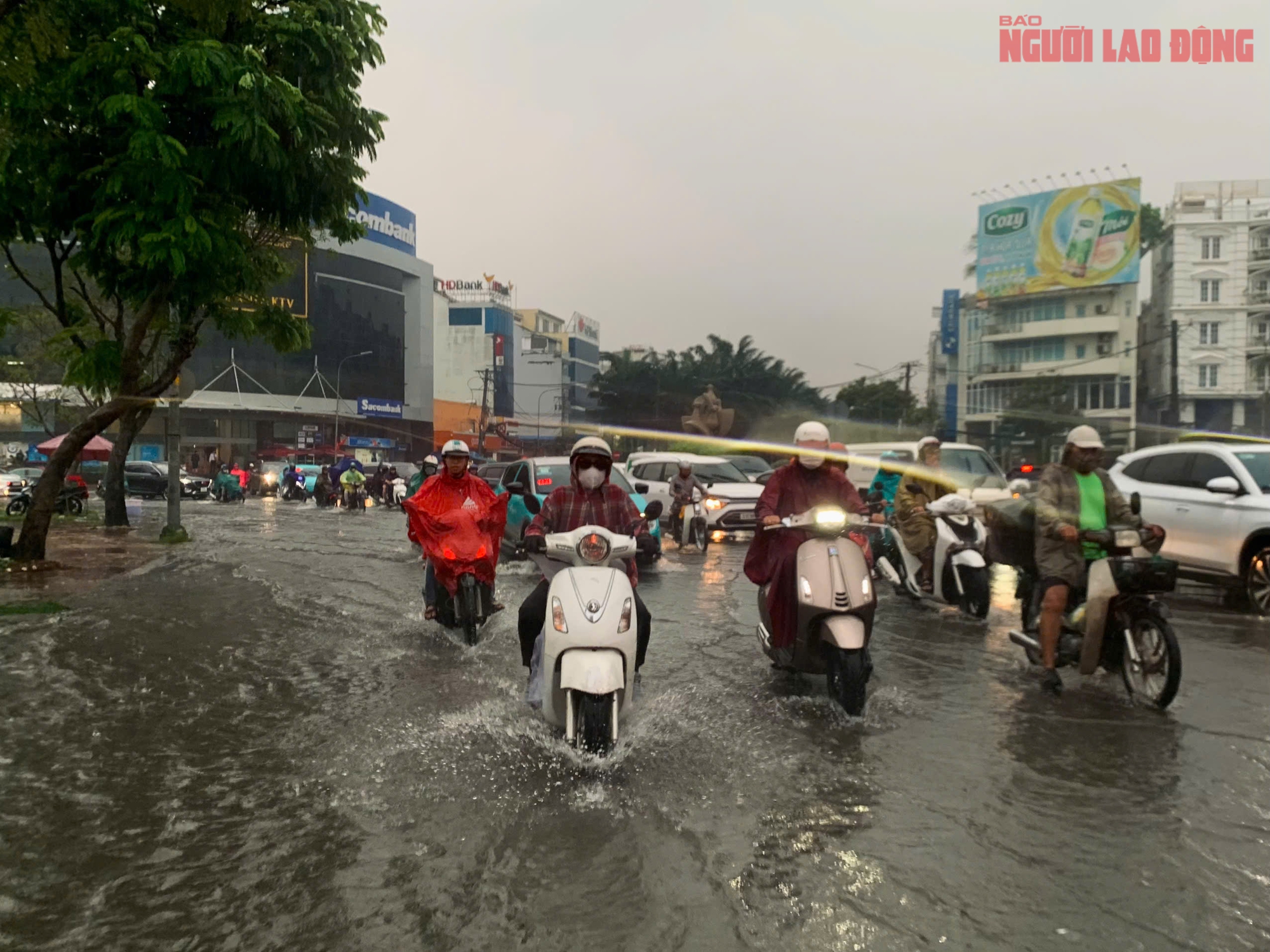 Thời tiết TPHCM u ám và mưa to giữa mùa khô tháng 1 - 2026 - Ảnh 1. Thời tiết TPHCM u ám và mưa to giữa mùa khô tháng 1 - 2026 - Ảnh 1.